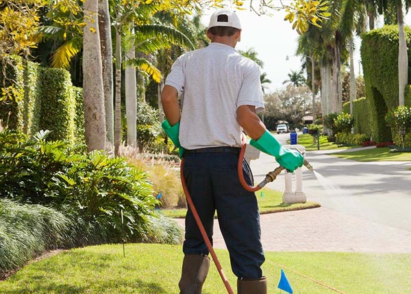 About Ojibwa WI Pest Control